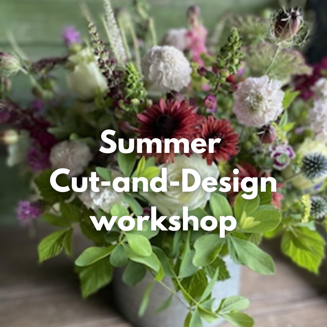 SUMMER CUTANDDESIGN Sunday, July 21st Northampton MA Events